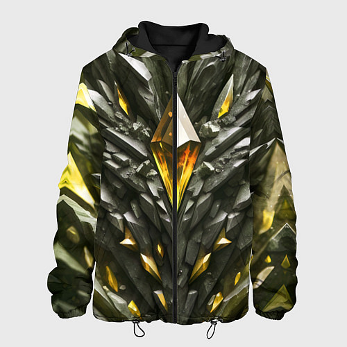 Мужская куртка Камень и золотой кристалл / 3D-Черный – фото 1