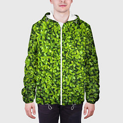 Куртка с капюшоном мужская Зелёная трава листья, цвет: 3D-белый — фото 2