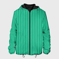 Куртка с капюшоном мужская Зелёный Крайола полосатый, цвет: 3D-черный