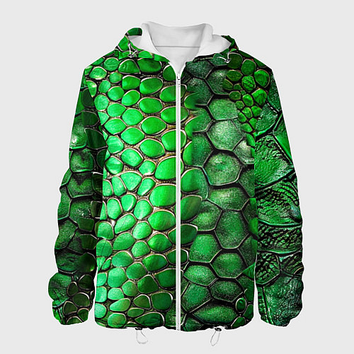 Мужская куртка Зеленая змеиная кожа / 3D-Белый – фото 1
