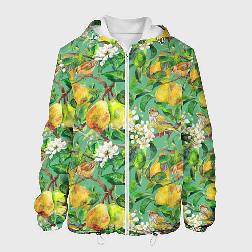 Мужская куртка Груши и птицы / 3D-Белый – фото 1