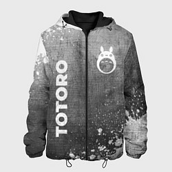Куртка с капюшоном мужская Totoro - grey gradient вертикально, цвет: 3D-черный