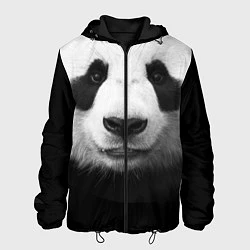 Мужская куртка Взгляд панды