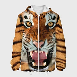 Мужская куртка Взгляд тигра