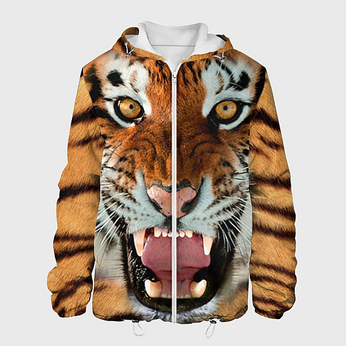 Мужская куртка Взгляд тигра / 3D-Белый – фото 1