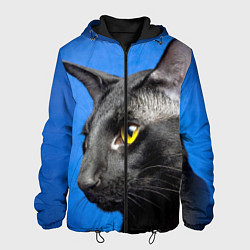 Мужская куртка Черный кот
