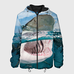 Куртка с капюшоном мужская Хищная акула, цвет: 3D-черный
