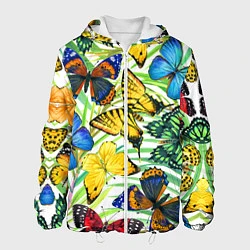 Мужская куртка Тропические бабочки