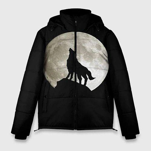 Мужская зимняя куртка Moon Wolf / 3D-Черный – фото 1
