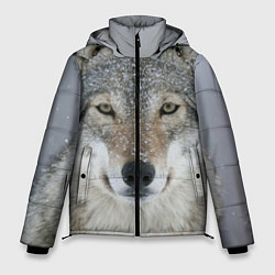 Куртка зимняя мужская Милый волк, цвет: 3D-черный