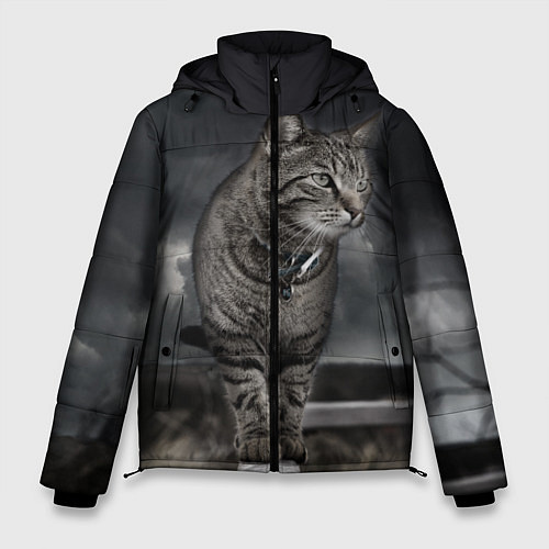 Мужская зимняя куртка Кот / 3D-Черный – фото 1