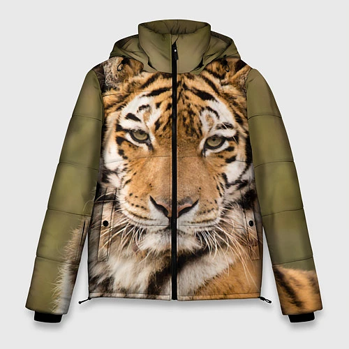 Мужская зимняя куртка Милый тигр / 3D-Черный – фото 1