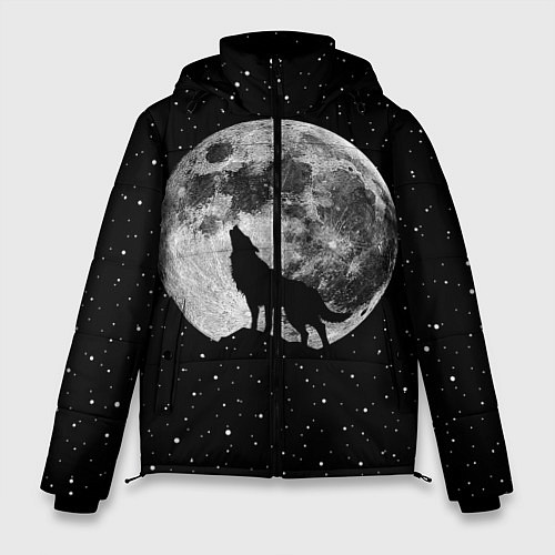 Мужская зимняя куртка Лунный волк / 3D-Черный – фото 1