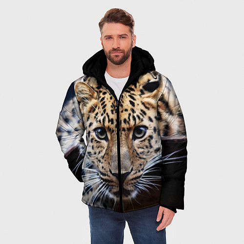Мужская зимняя куртка Дикая кошка / 3D-Светло-серый – фото 3