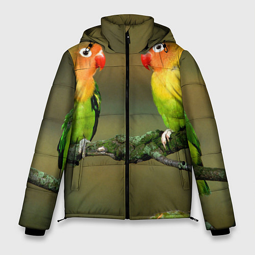 Мужская зимняя куртка Два попугая / 3D-Черный – фото 1