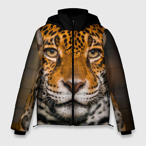 Мужская зимняя куртка Взгляд ягуара / 3D-Светло-серый – фото 1