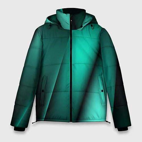 Мужская зимняя куртка Emerald lines / 3D-Черный – фото 1