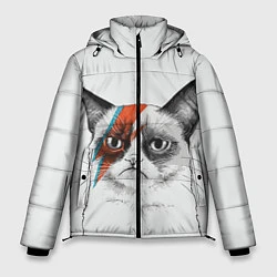 Мужская зимняя куртка David Bowie: Grumpy cat