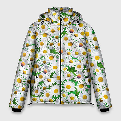 Мужская зимняя куртка Полевые ромашки / 3D-Черный – фото 1