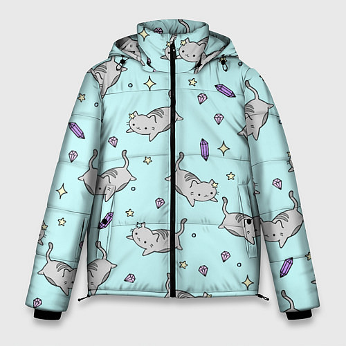 Мужская зимняя куртка Кавайные котики / 3D-Черный – фото 1