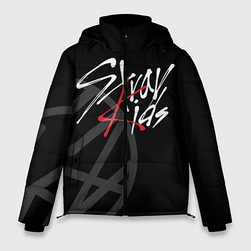 Мужская зимняя куртка Stray Kids / 3D-Светло-серый – фото 1