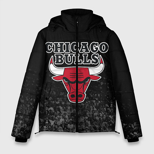 Мужская зимняя куртка CHICAGO BULLS / 3D-Черный – фото 1