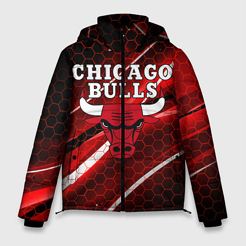 Мужская зимняя куртка CHICAGO BULLS / 3D-Черный – фото 1