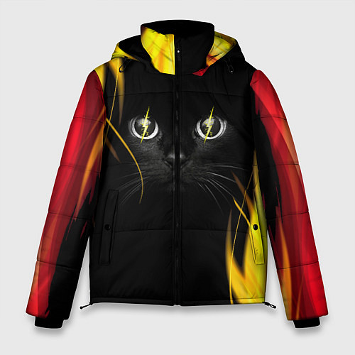 Мужская зимняя куртка Грозовой кошак / 3D-Черный – фото 1
