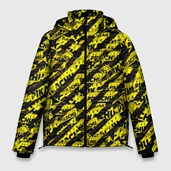 Куртка зимняя мужская Детектив Пикачу, цвет: 3D-черный