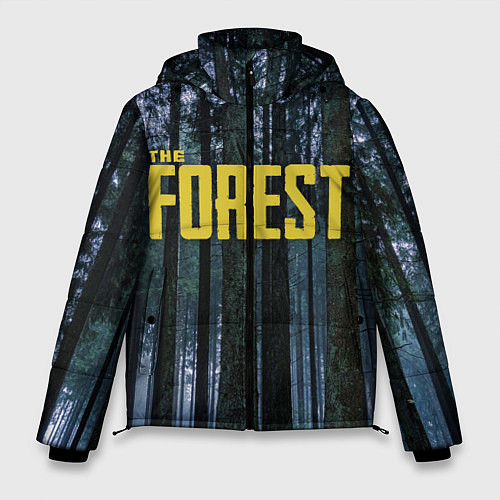 Мужская зимняя куртка THE FOREST / 3D-Черный – фото 1