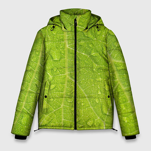 Мужская зимняя куртка Листок с росой / 3D-Черный – фото 1
