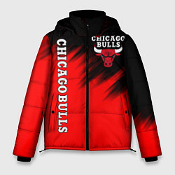 Куртка зимняя мужская CHICAGO BULLS, цвет: 3D-светло-серый