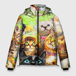 Куртка зимняя мужская КОТЫ, цвет: 3D-черный