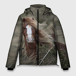 Куртка зимняя мужская Конь, цвет: 3D-светло-серый