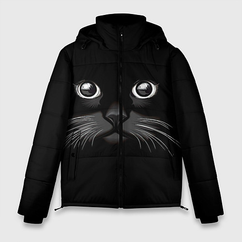 Мужская зимняя куртка Кошачья моська / 3D-Черный – фото 1