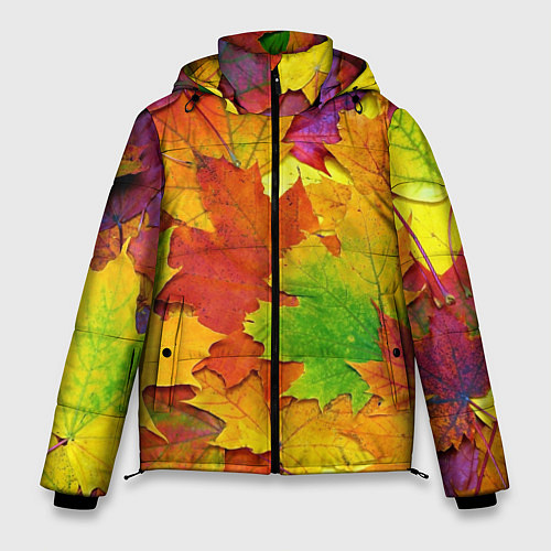 Мужская зимняя куртка Осенние листья / 3D-Светло-серый – фото 1