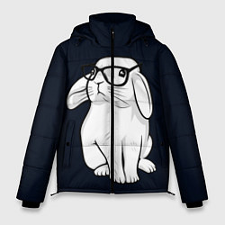 Куртка зимняя мужская Кролик Хипстер, цвет: 3D-светло-серый