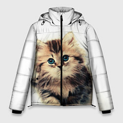 Куртка зимняя мужская Катёнок, цвет: 3D-светло-серый