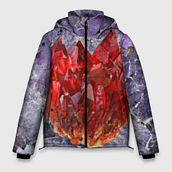 Куртка зимняя мужская Роза инков, цвет: 3D-черный
