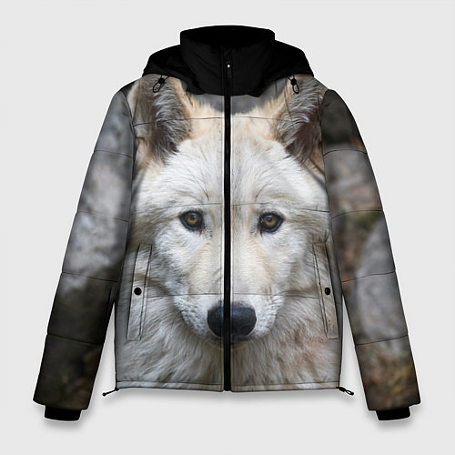 Мужская зимняя куртка Волк / 3D-Черный – фото 1