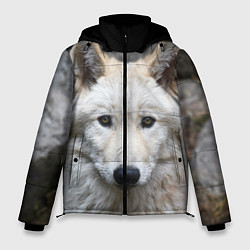 Мужская зимняя куртка Волк