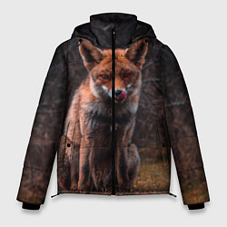 Мужская зимняя куртка Хищная лисица
