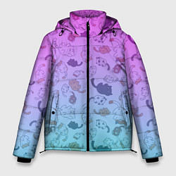 Куртка зимняя мужская Котики в полете, цвет: 3D-светло-серый