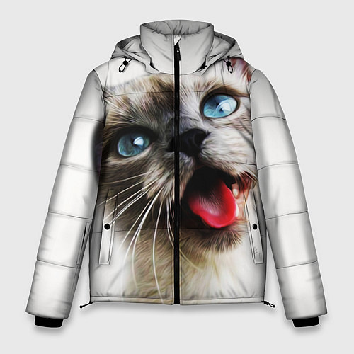 Мужская зимняя куртка Котик / 3D-Черный – фото 1