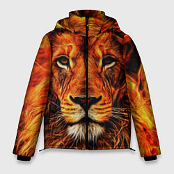 Мужская зимняя куртка LION