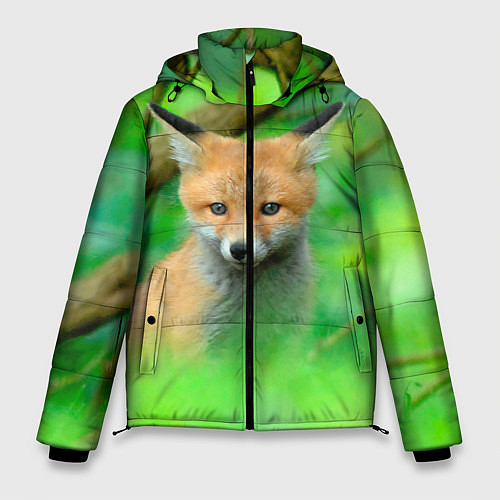 Мужская зимняя куртка Лисенок в зеленом лесу / 3D-Черный – фото 1