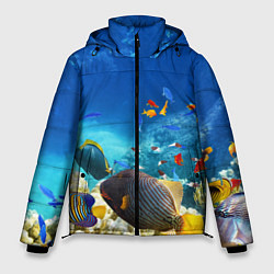 Куртка зимняя мужская Морской мир, цвет: 3D-светло-серый