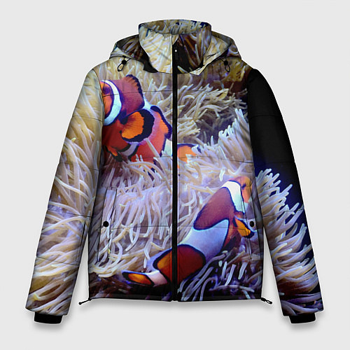 Мужская зимняя куртка Клоуны в актинии / 3D-Черный – фото 1