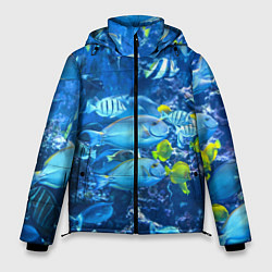 Куртка зимняя мужская Коралловые рыбки, цвет: 3D-красный