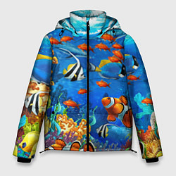 Куртка зимняя мужская Коралловые рыбки, цвет: 3D-светло-серый